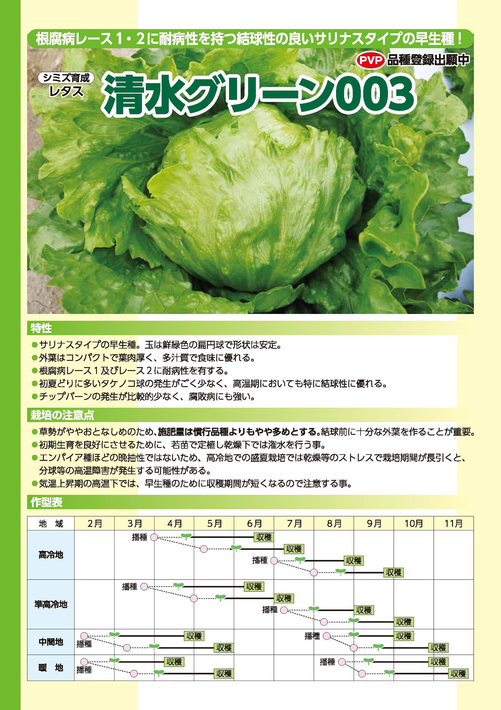 清水グリーン003 - 清水種苗株式会社清水種苗株式会社